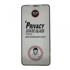 Samsung Galaxy S24 vidro protetor - ESD Anti-Static Privacy