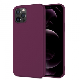 Apple iPhone 12 Pro Max capa 