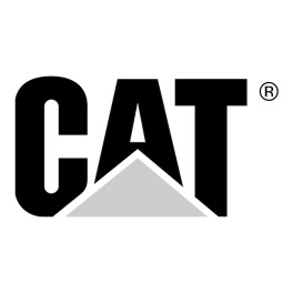 Telas de telefone CAT